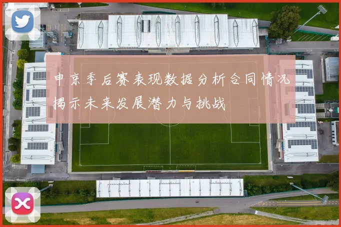 申京季后赛表现数据分析合同情况揭示未来发展潜力与挑战