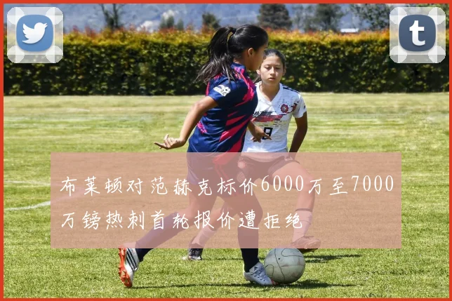 布莱顿对范赫克标价6000万至7000万镑热刺首轮报价遭拒绝