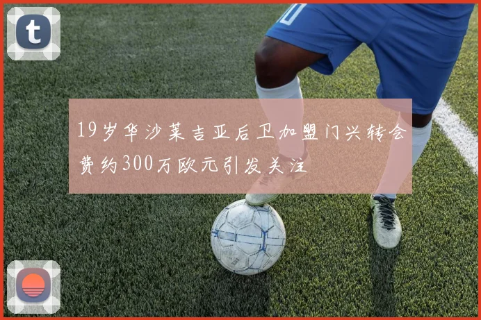 19岁华沙莱吉亚后卫加盟门兴转会费约300万欧元引发关注